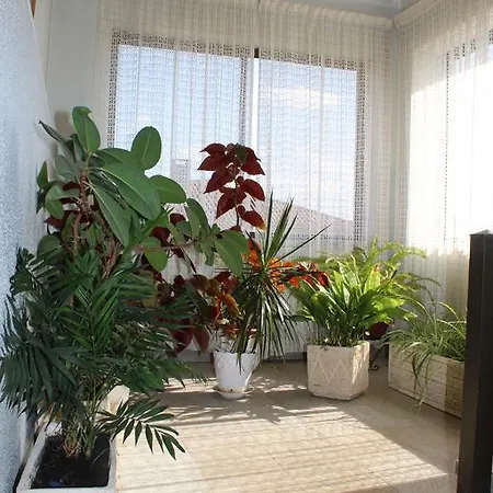 Guest house A Muralha Almeida